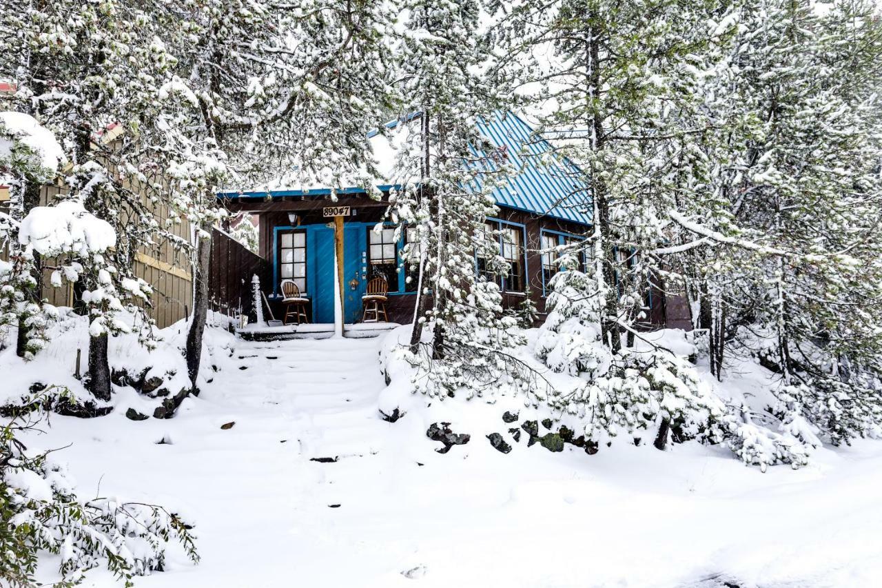 Flying Stag: Main Lodge กัฟเวิร์นเมนท์แคมป์ ภายนอก รูปภาพ