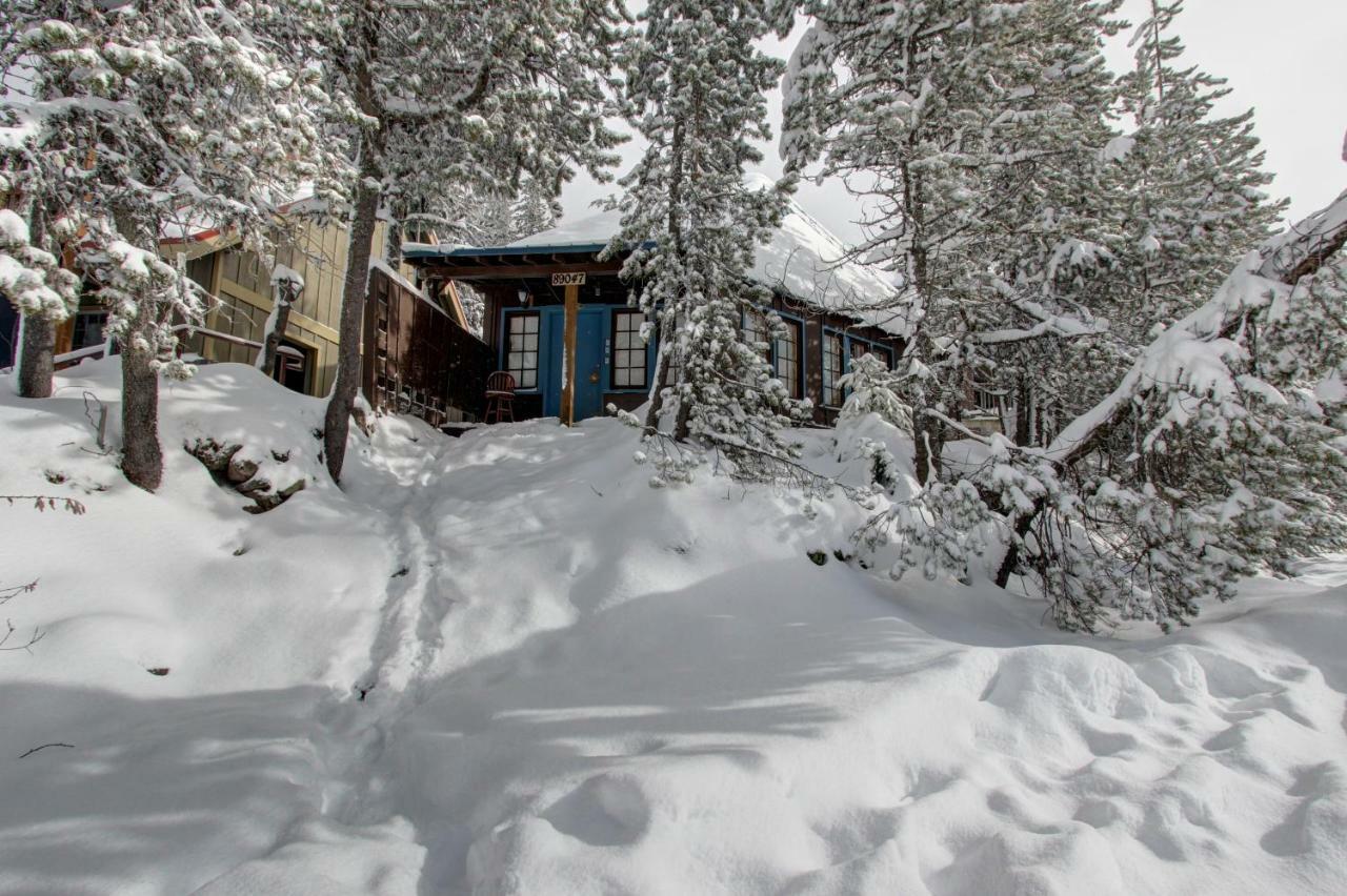 Flying Stag: Main Lodge กัฟเวิร์นเมนท์แคมป์ ภายนอก รูปภาพ